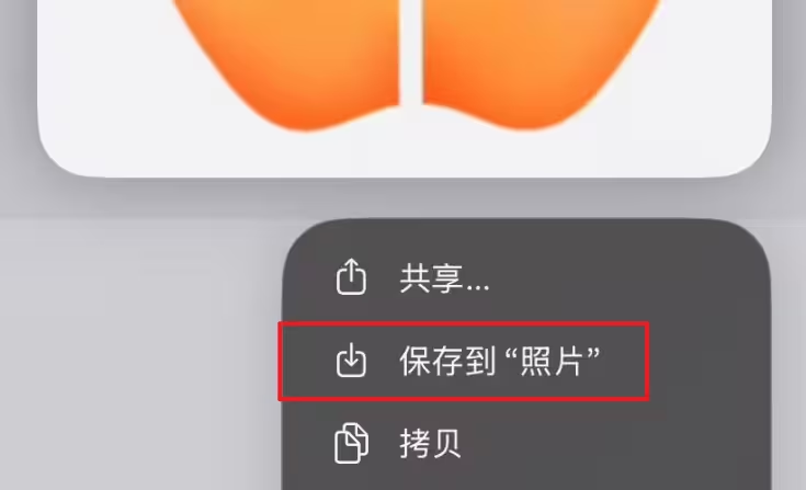 Safari长按图片后保存到照片的菜单